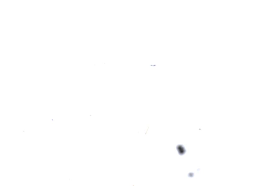 Image 43